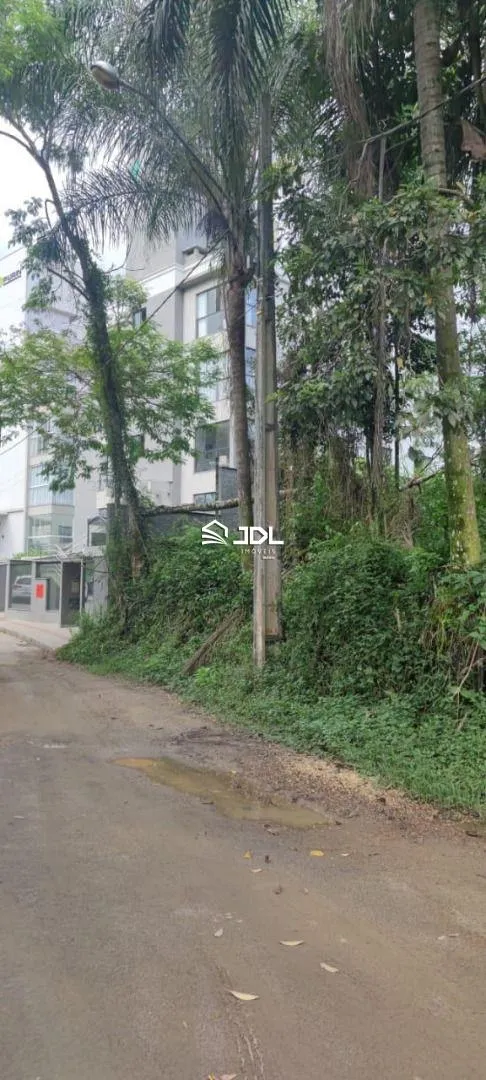 Terreno à venda, 2000 m por R$ 1.020.000,00 - Velha - Blumenau/SC — foto 3