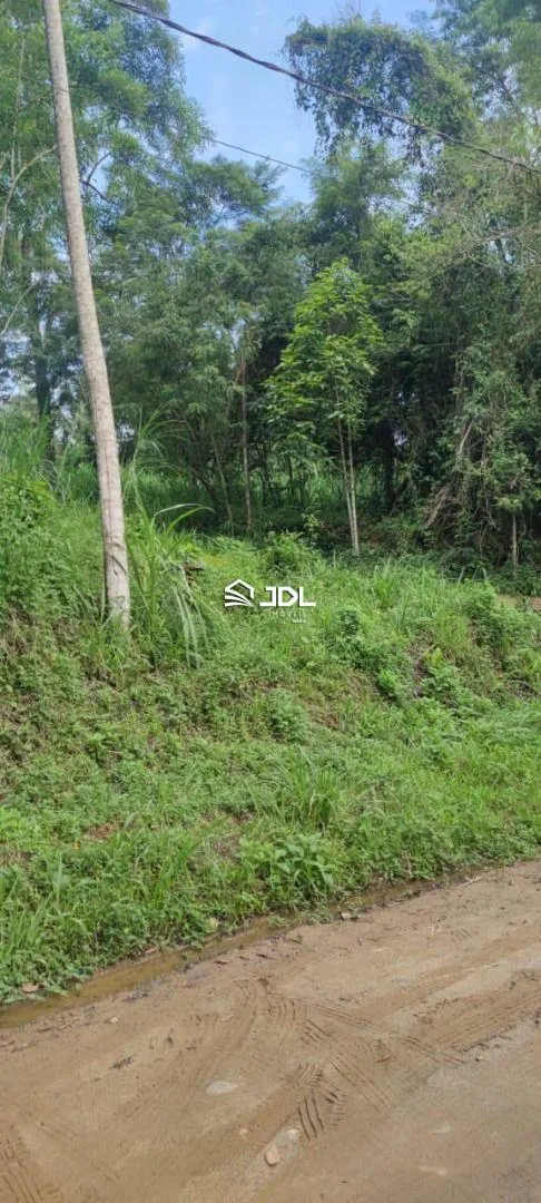 Terreno à venda, 2000 m por R$ 1.020.000,00 - Velha - Blumenau/SC — foto 4