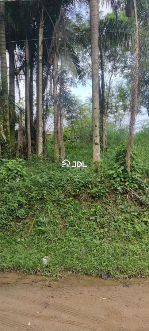 Terreno à venda, 2000 m por R$ 1.020.000,00 - Velha - Blumenau/SC — foto 5
