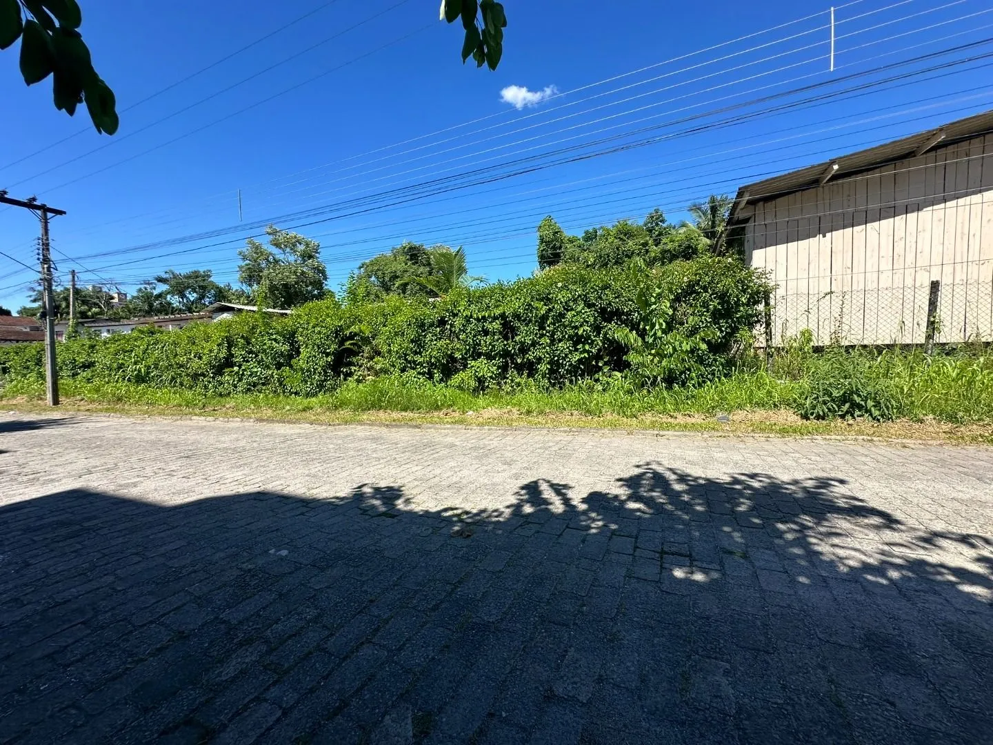 Terreno à venda, 1034 m por R$ 1.034.000,00 - Itoupava Norte - Blumenau/SC — foto 5