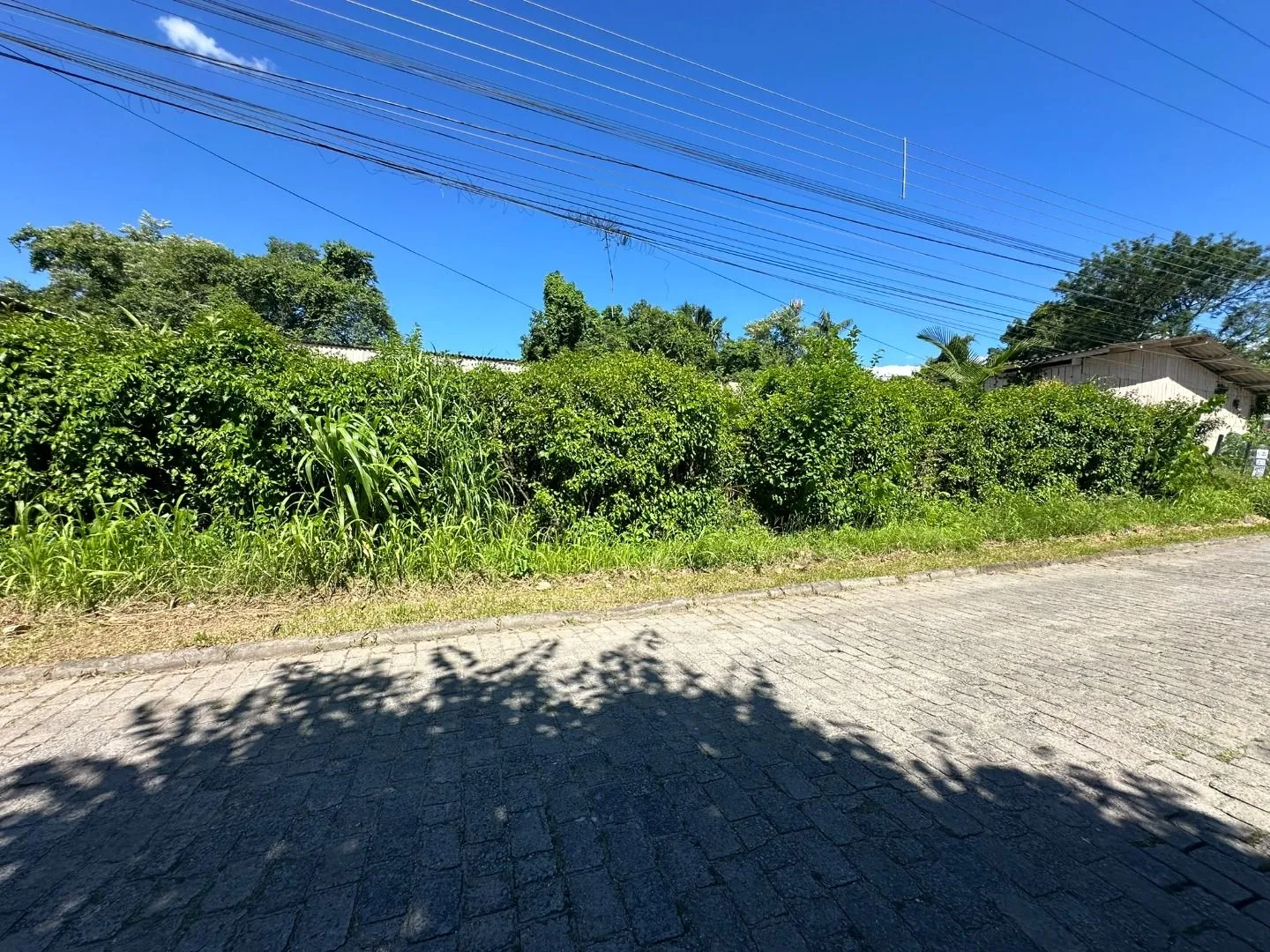 Terreno à venda, 1034 m por R$ 1.034.000,00 - Itoupava Norte - Blumenau/SC — foto 6