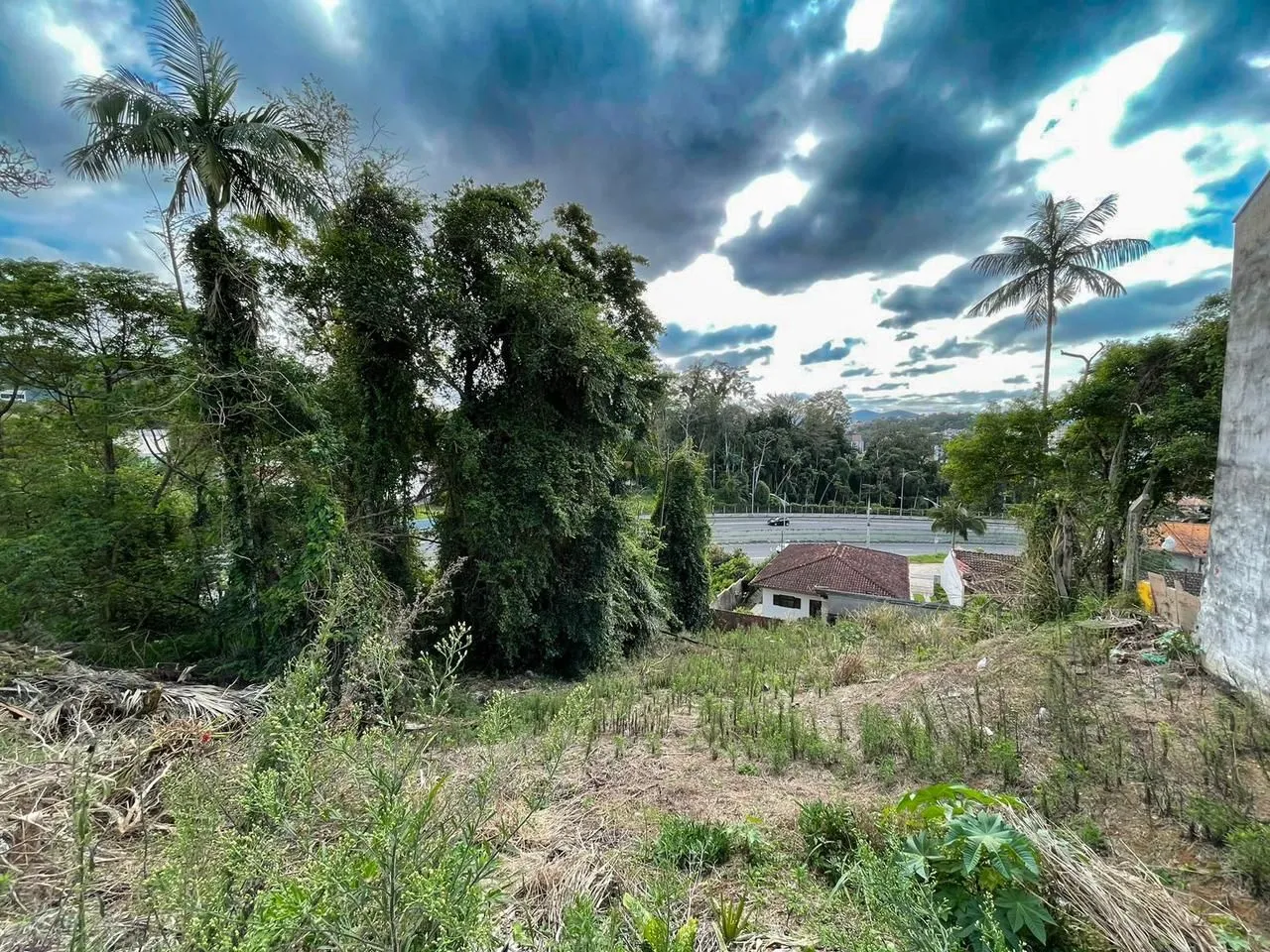 Terreno à venda no bairro Velha - foto 1