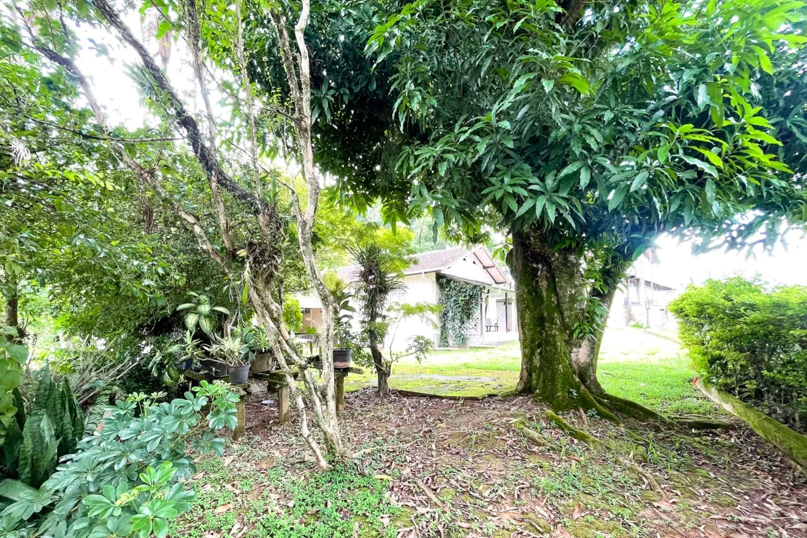 Terreno à venda no bairro Itoupava Norte — foto 4