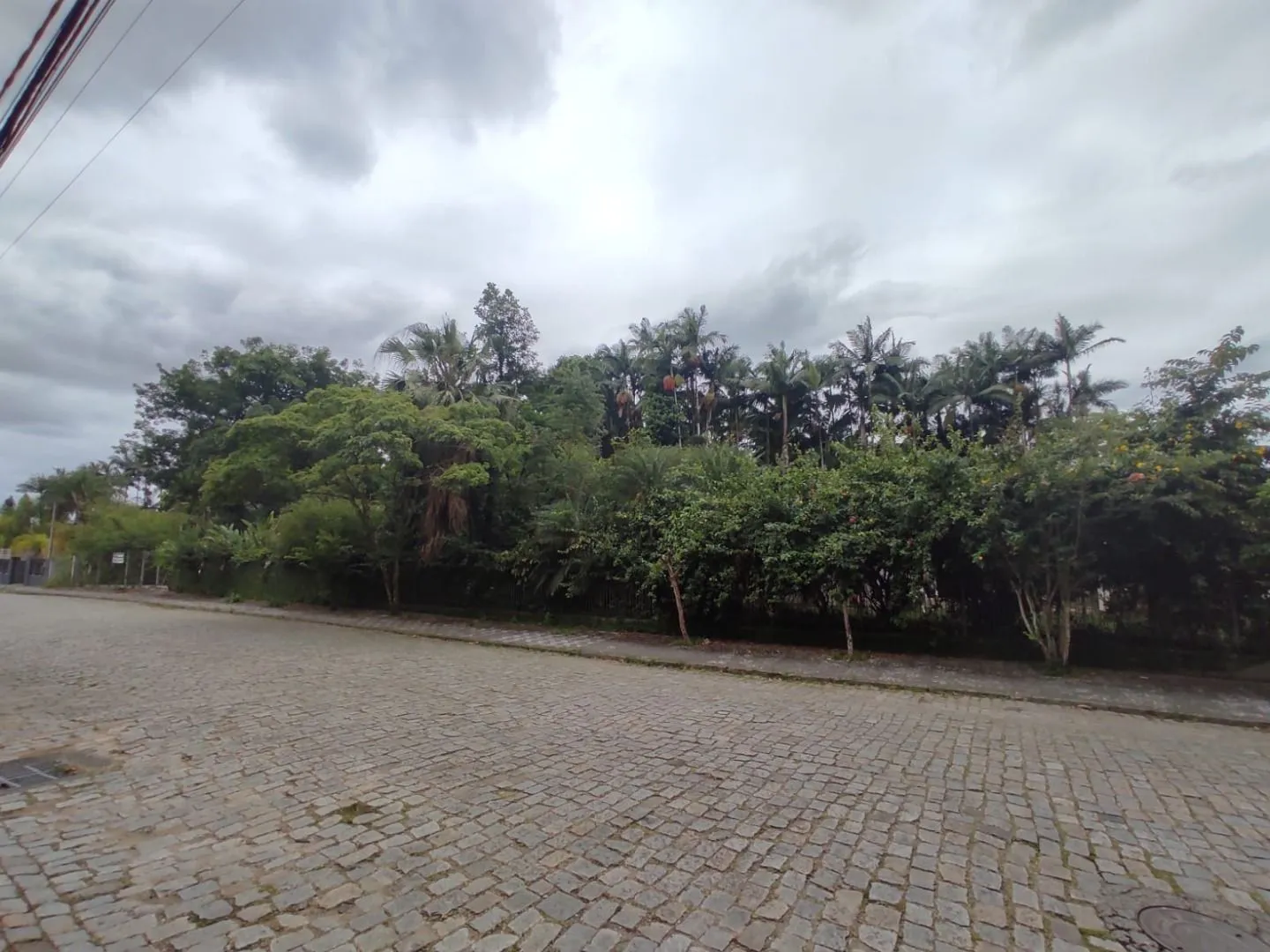 Terreno à venda, 4200 m por R$ 5.500.000,00 - Itoupava Seca - Blumenau/SC — foto 3
