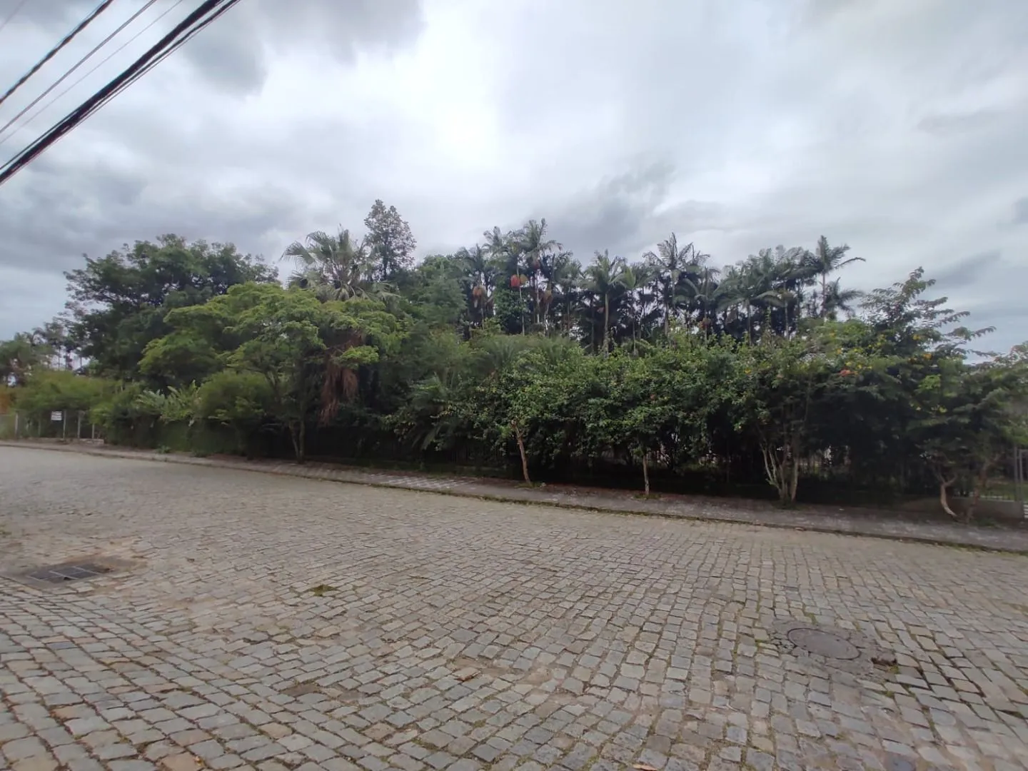 Terreno à venda, 4200 m por R$ 5.500.000,00 - Itoupava Seca - Blumenau/SC — foto 4