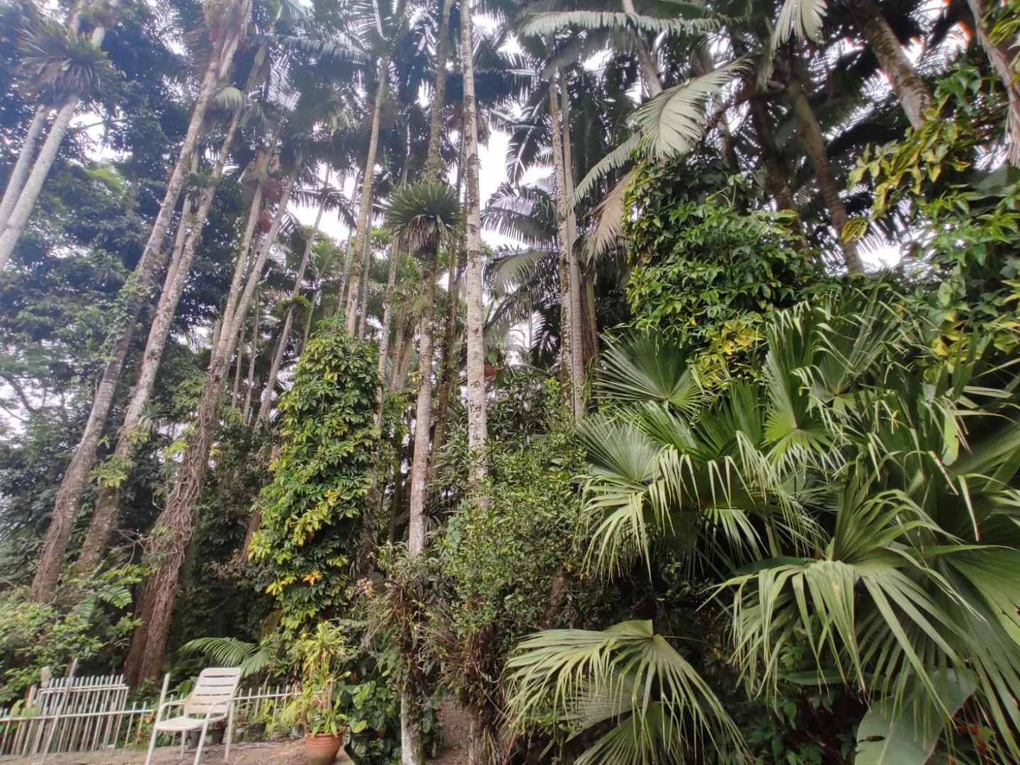Terreno à venda, 4200 m por R$ 5.500.000,00 - Itoupava Seca - Blumenau/SC — foto 7