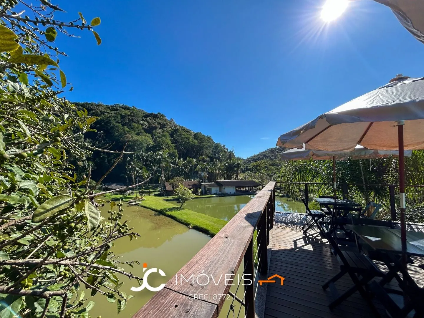 Sítio com 3 dormitórios à venda, 50000 m por R$ 1.490.000,00 - Vila Itoupava - Blumenau/SC — foto 4