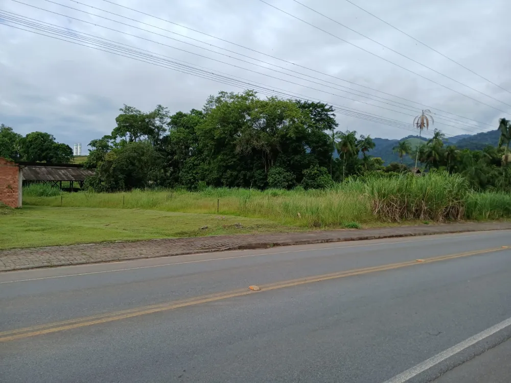 TERRENO 25.000m2 - FRENTE 80 METROS - INDAIAL - ARAPONGAS — foto 3