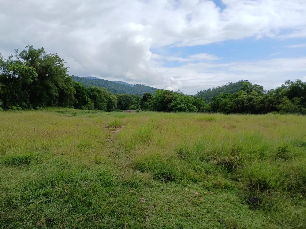 TERRENO 25.000m2 - FRENTE 80 METROS - INDAIAL - ARAPONGAS — foto 5