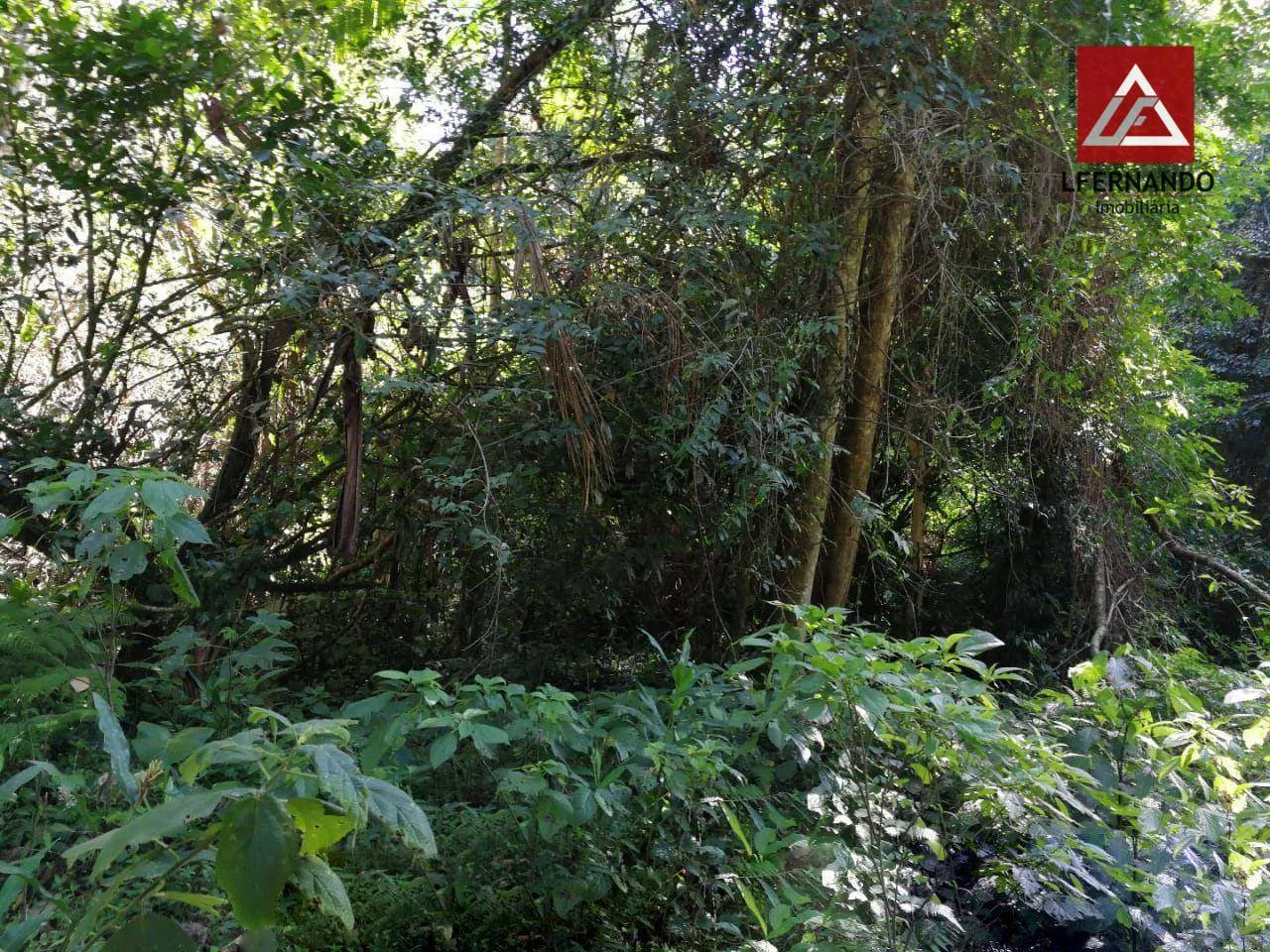 Terreno à venda, 30.000 m por R$ 670.000 - Centro - Luiz Alves/SC - foto 1