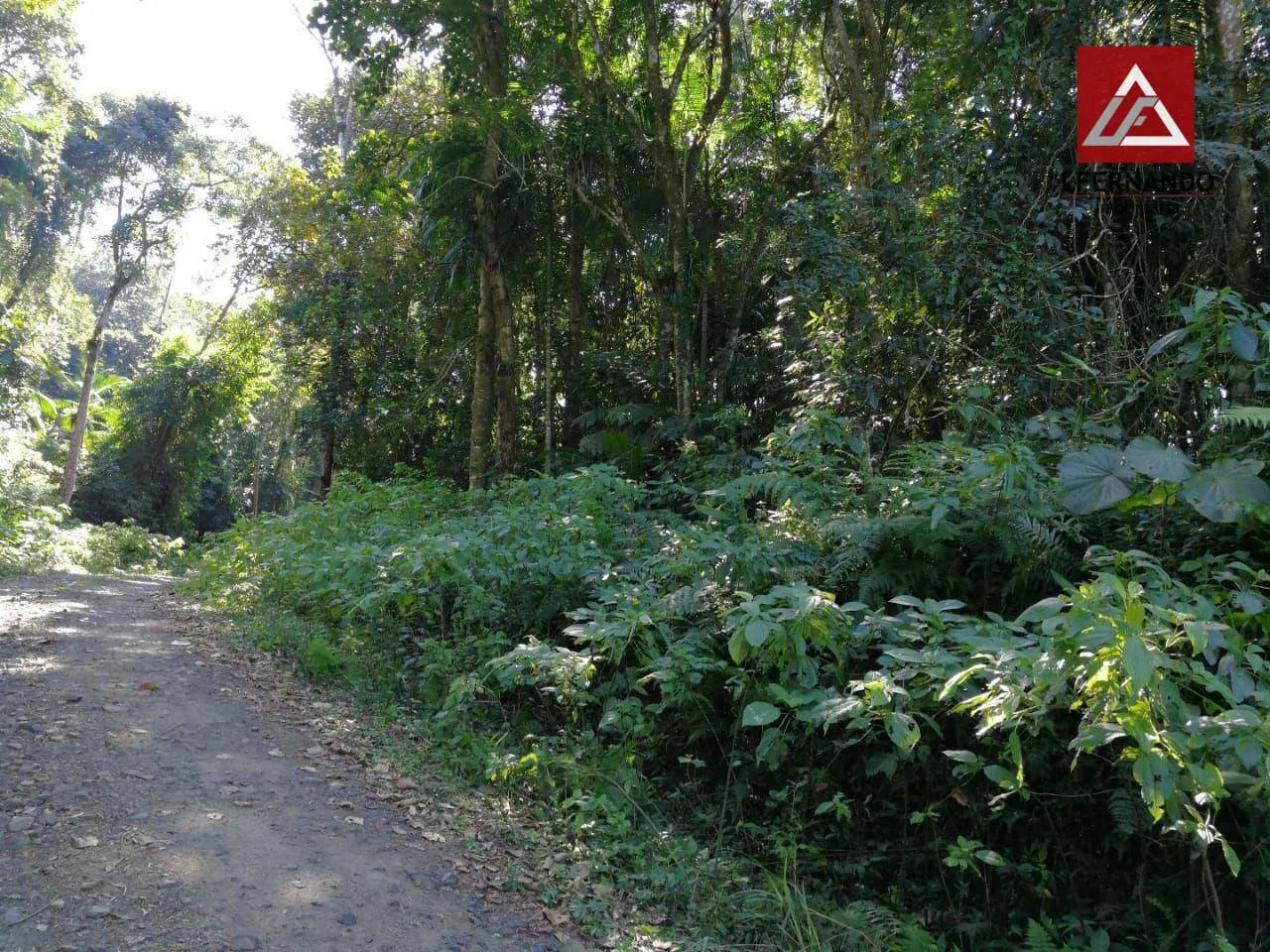 Terreno à venda, 30.000 m por R$ 670.000 - Centro - Luiz Alves/SC — foto 2