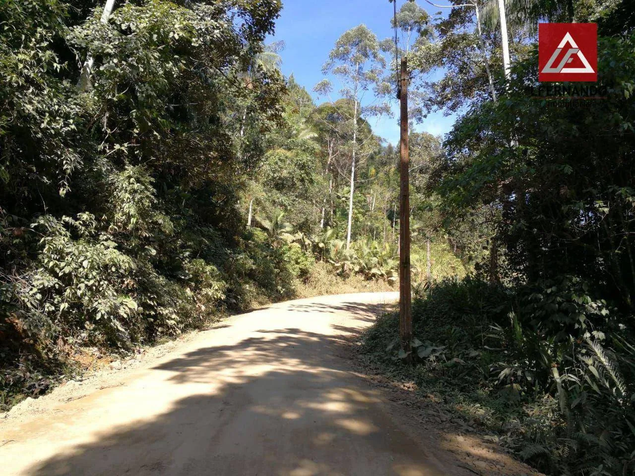 Terreno à venda, 30.000 m por R$ 670.000 - Centro - Luiz Alves/SC — foto 3