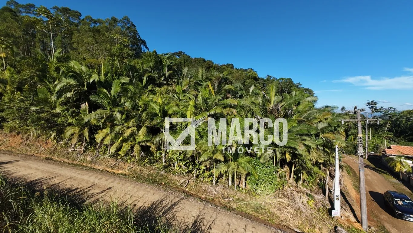 Terreno no Ribeirão Souto com 20 mil metros quadrados - foto 1