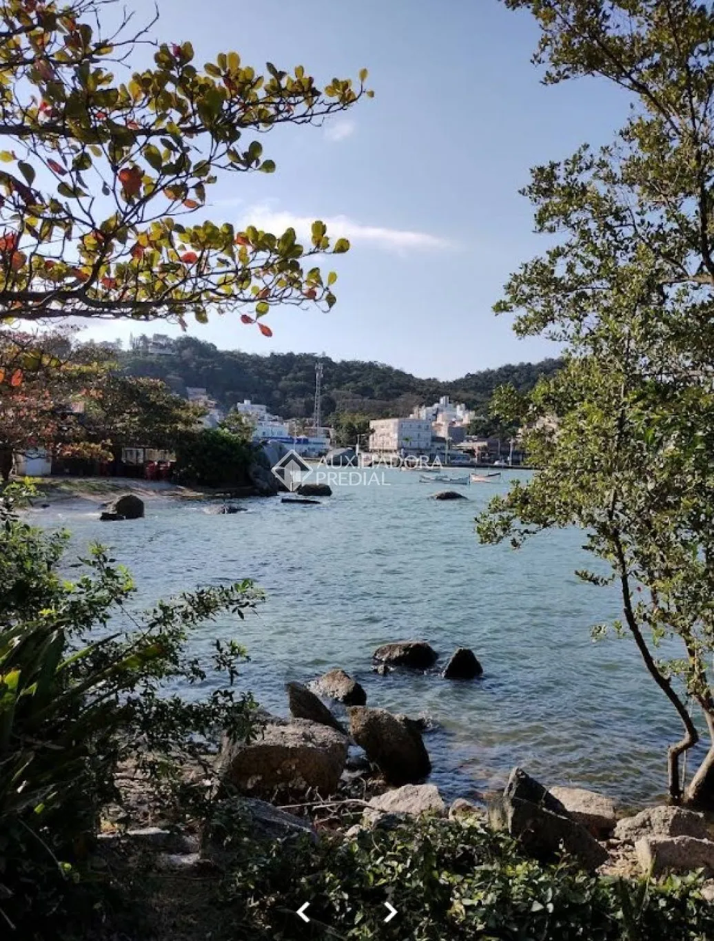 Imóvel — foto 6
