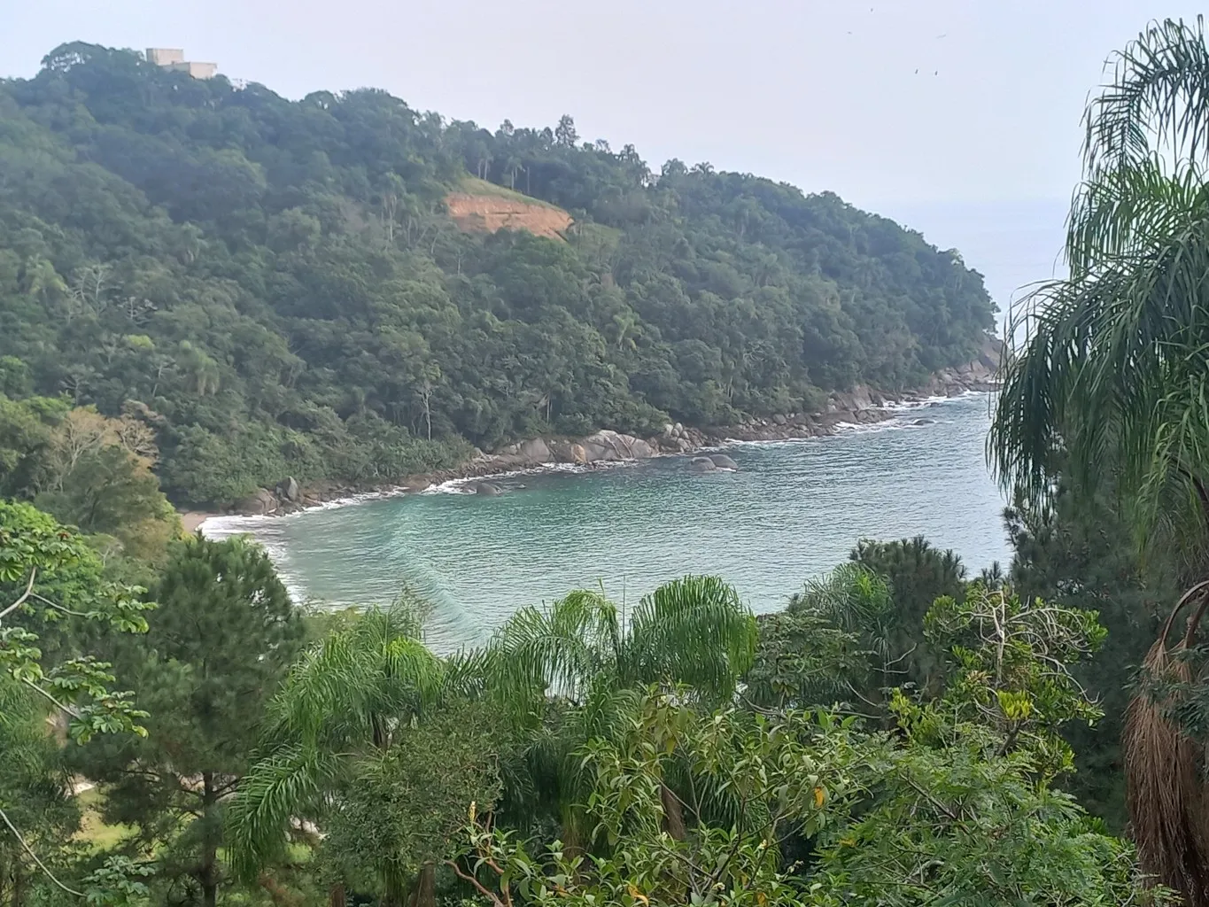 Terreno exclusivo FRENTE MAR na Praia do Estaleiro, em Porto Belo/SC! Com área total de 3.354,5 m. Ideal para projetos sustentáveis e de alto padrão - foto 1