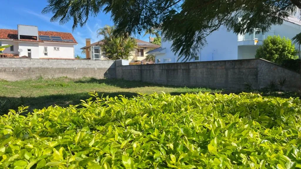 Terreno em Florianópolis - foto 1