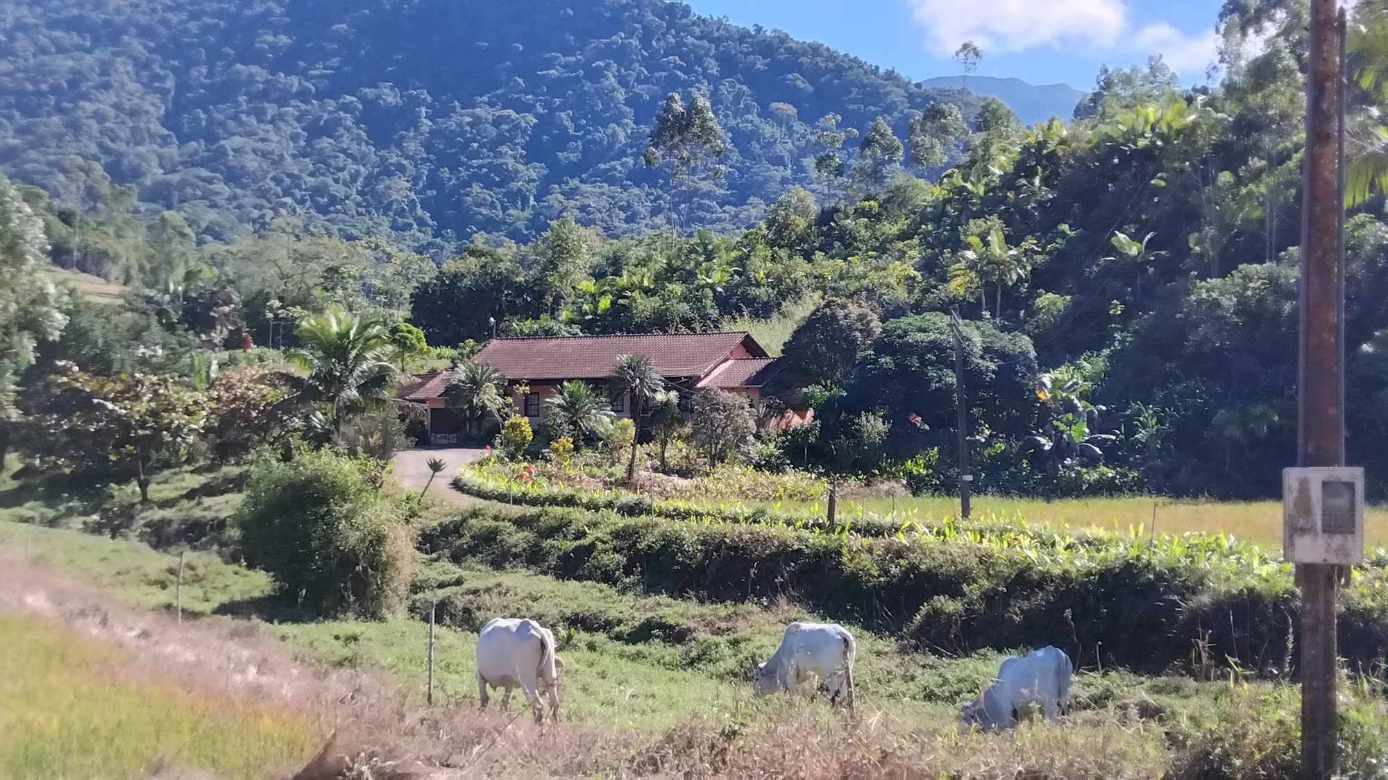 Sítio em Ascurra - Apenas 40 km de Blumenau — foto 3