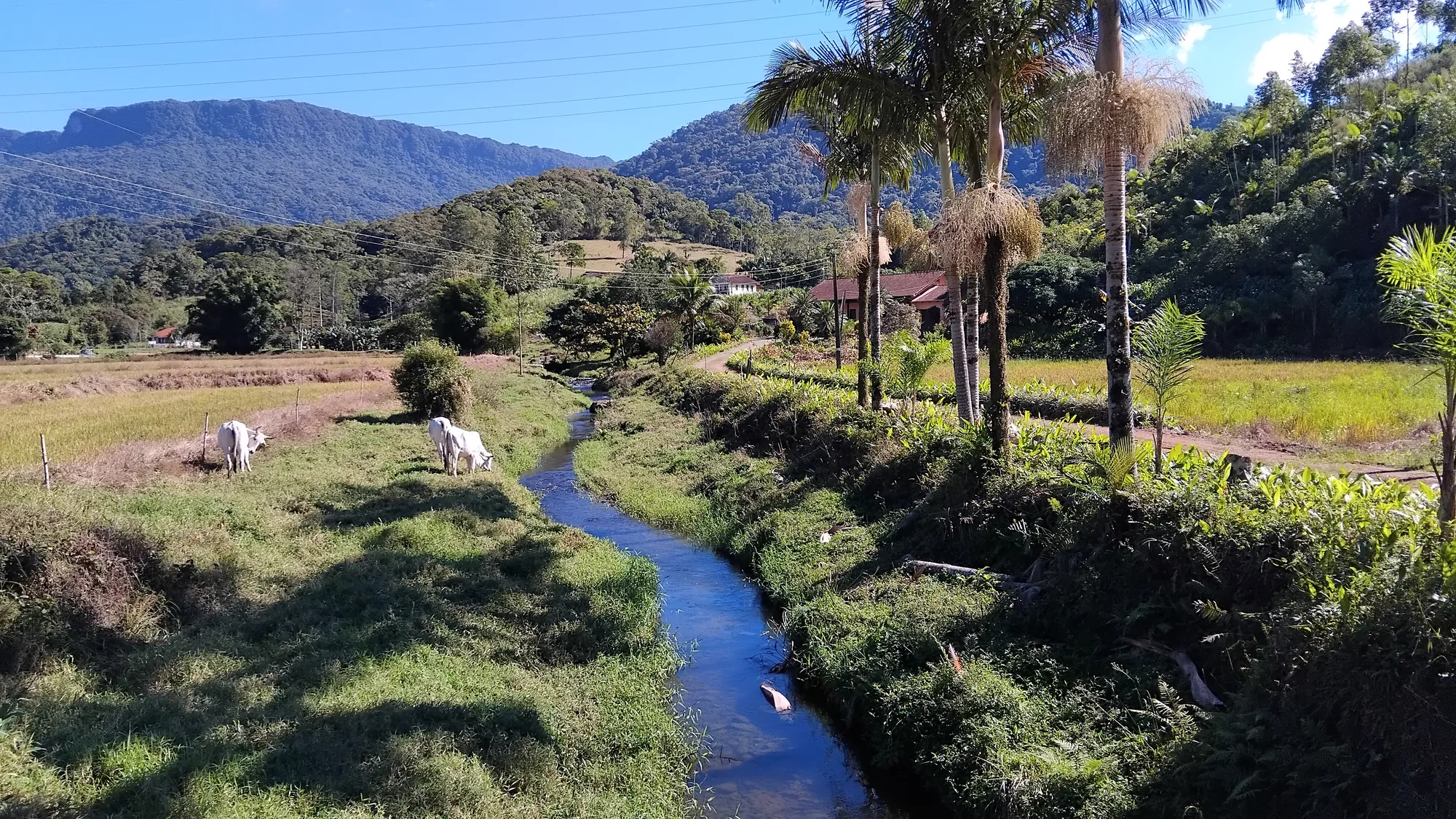 Sítio em Ascurra - Apenas 40 km de Blumenau — foto 2