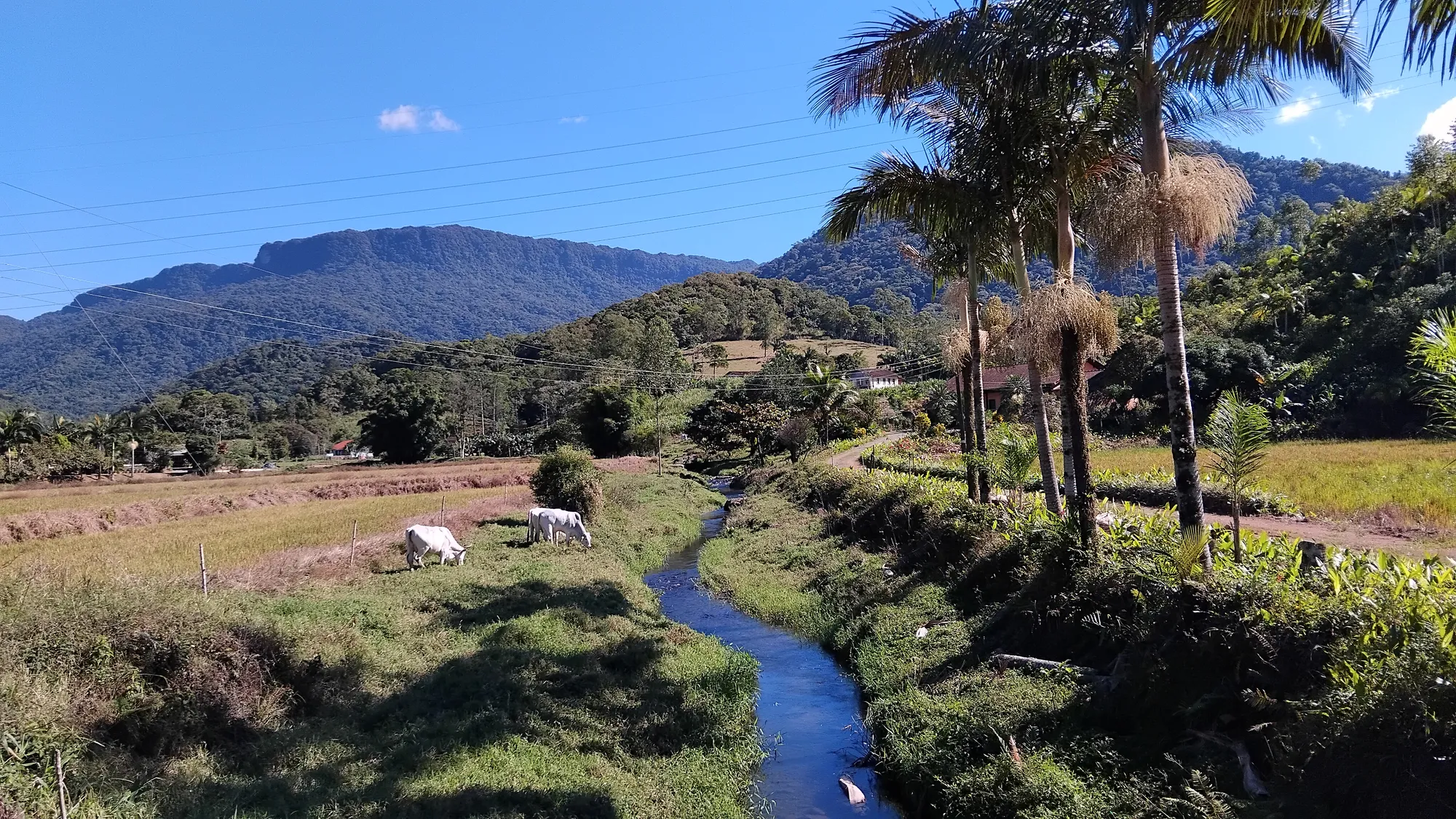 Sítio em Ascurra - Apenas 40 km de Blumenau — foto 6