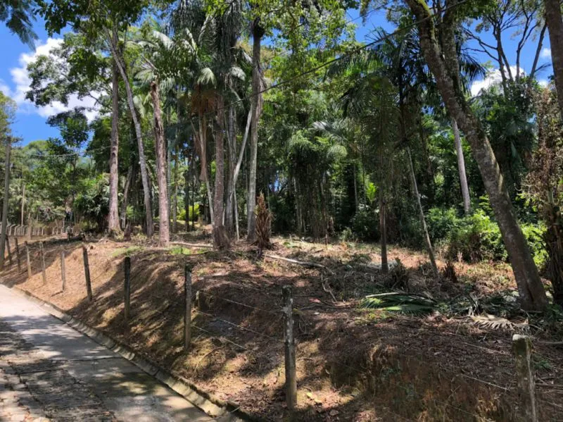 Amplo terreno ideal para casas geminadas — foto 4