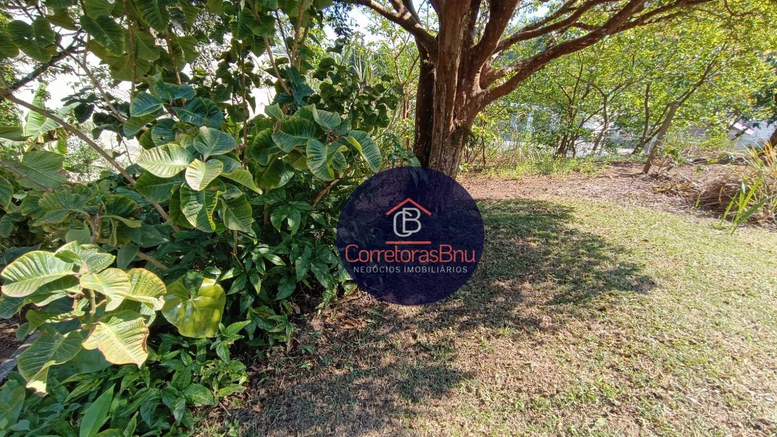 Terreno à venda, 2142 m por R$ 1.785.000,00 - Escola Agrícola - Blumenau/SC — foto 5