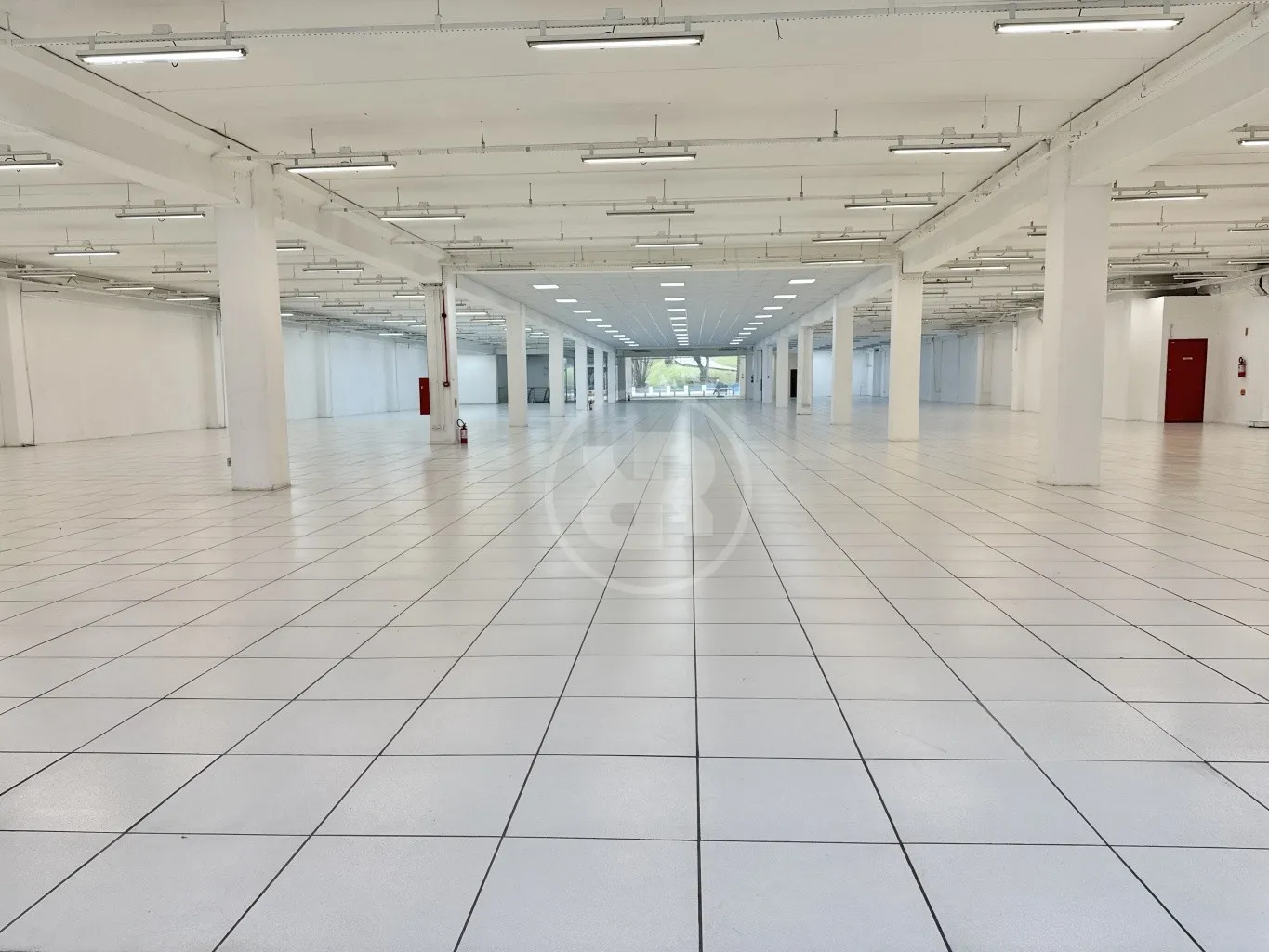 Oportunidade Única de Galpão Comercial com 1863,87m na Rua Sete de Setembro, Centro - Blumenau (SC) — foto 6