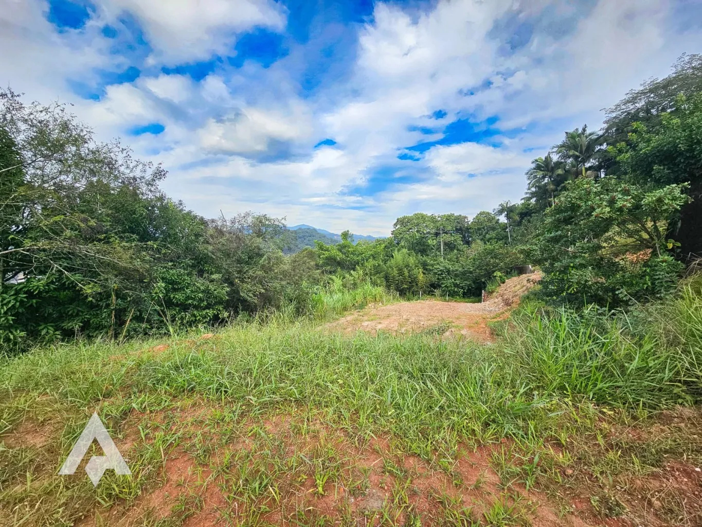 Amplo terreno à venda no bairro Garcia! Com 620m de área total e 13 metros de frente. — foto 2