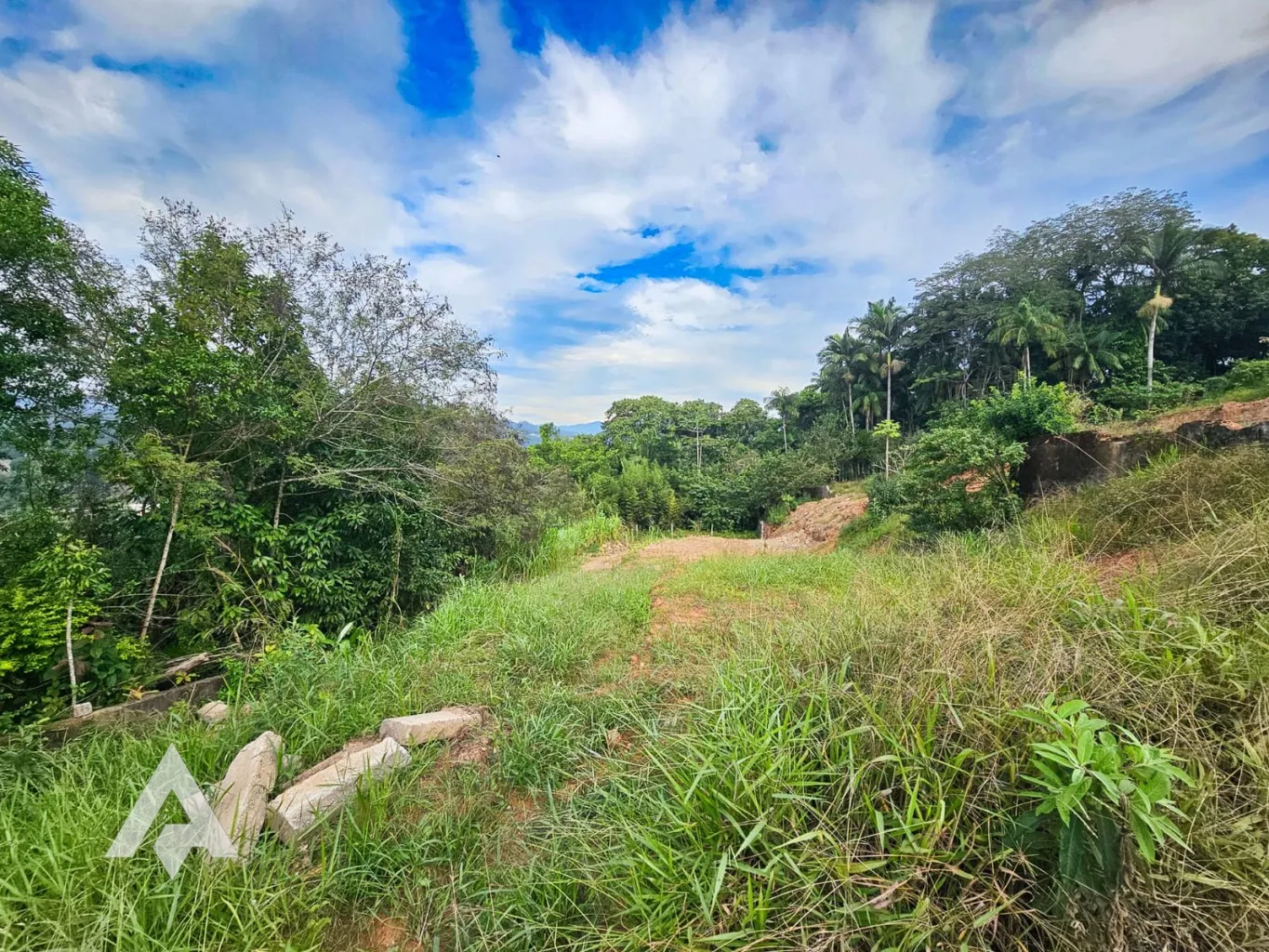 Amplo terreno à venda no bairro Garcia! Com 620m de área total e 13 metros de frente. — foto 3