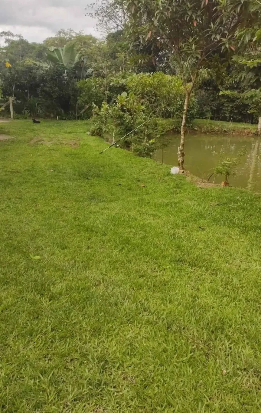 Sitio a Venda na Itoupava Central - Blumenau /SC — foto 3