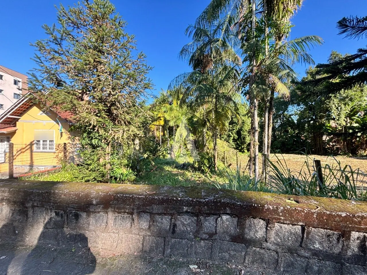 Terreno à venda no bairro Anita Garibaldi em Joinville, por R$ 6.613.442.00. — foto 3