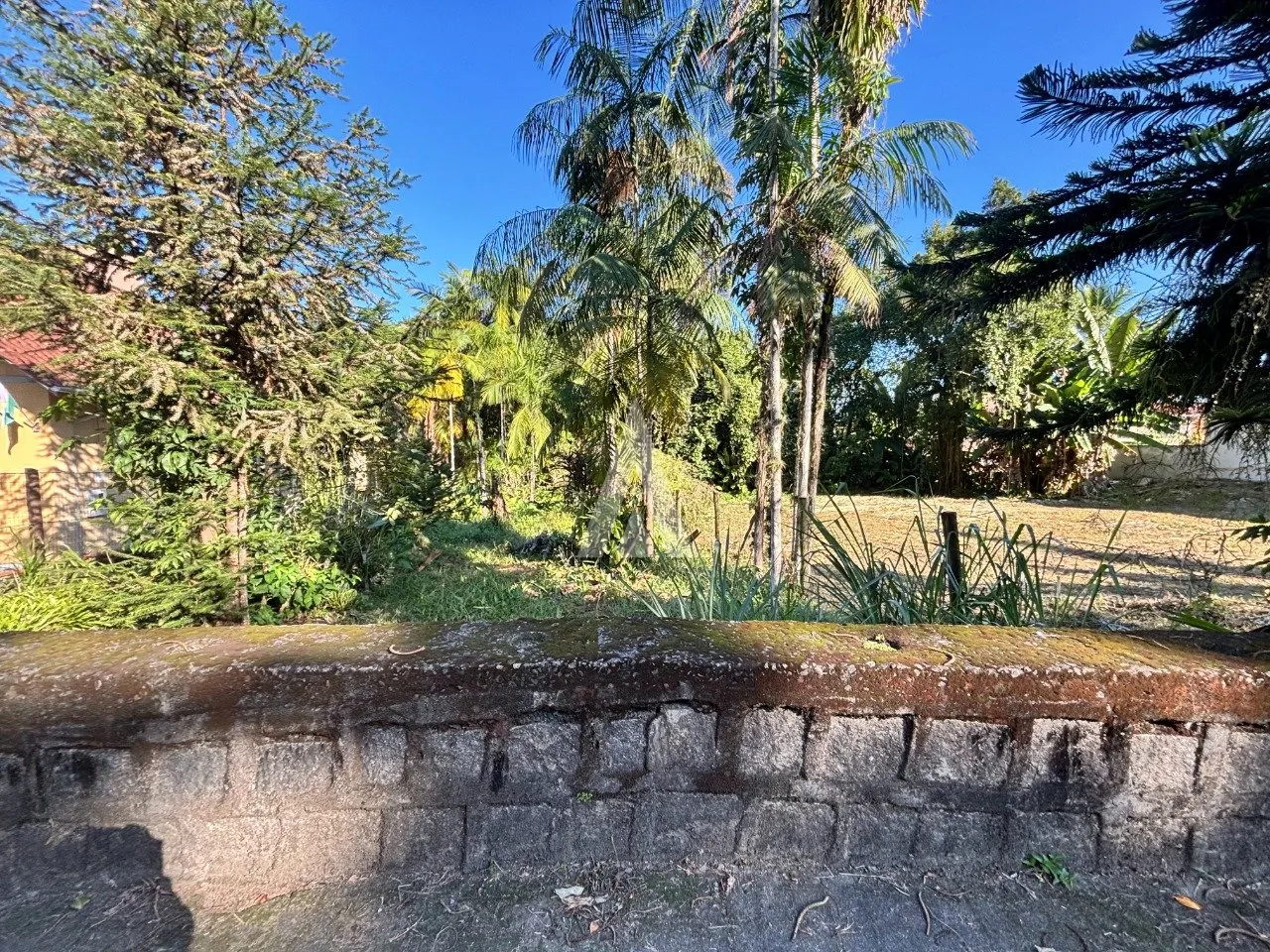 Terreno à venda no bairro Anita Garibaldi em Joinville, por R$ 6.613.442.00. — foto 4