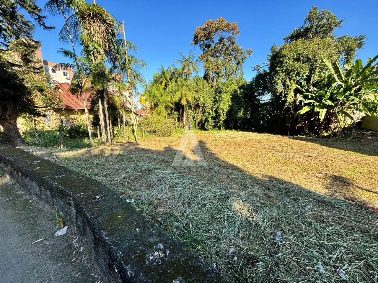 Terreno à venda no bairro Anita Garibaldi em Joinville, por R$ 6.613.442.00. — foto 7