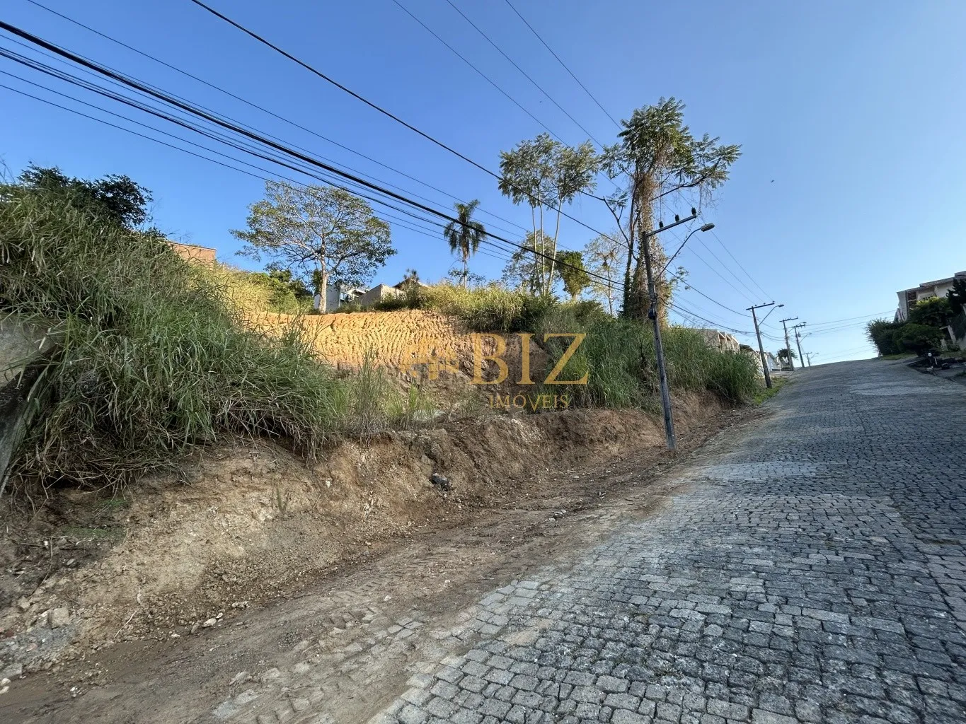 Belo terreno de 470m no Bairro Escola Agrícola, com 15m de testada! — foto 2