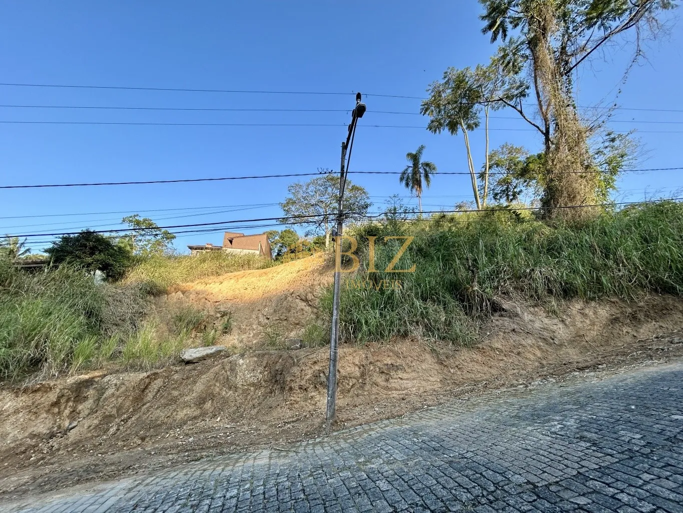 Belo terreno de 470m no Bairro Escola Agrícola, com 15m de testada! — foto 3