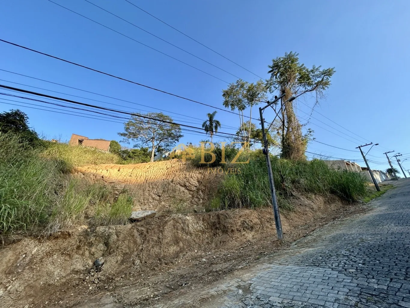 Belo terreno de 470m no Bairro Escola Agrícola, com 15m de testada! — foto 4