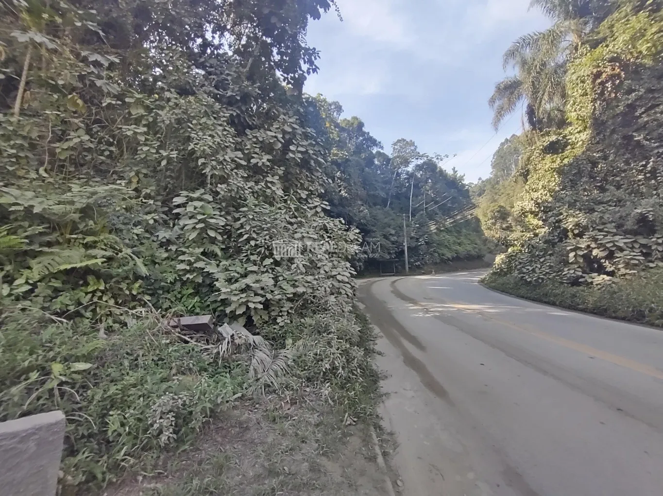 Terreno à venda, 3768m² no Glória, Blumenau - foto 1