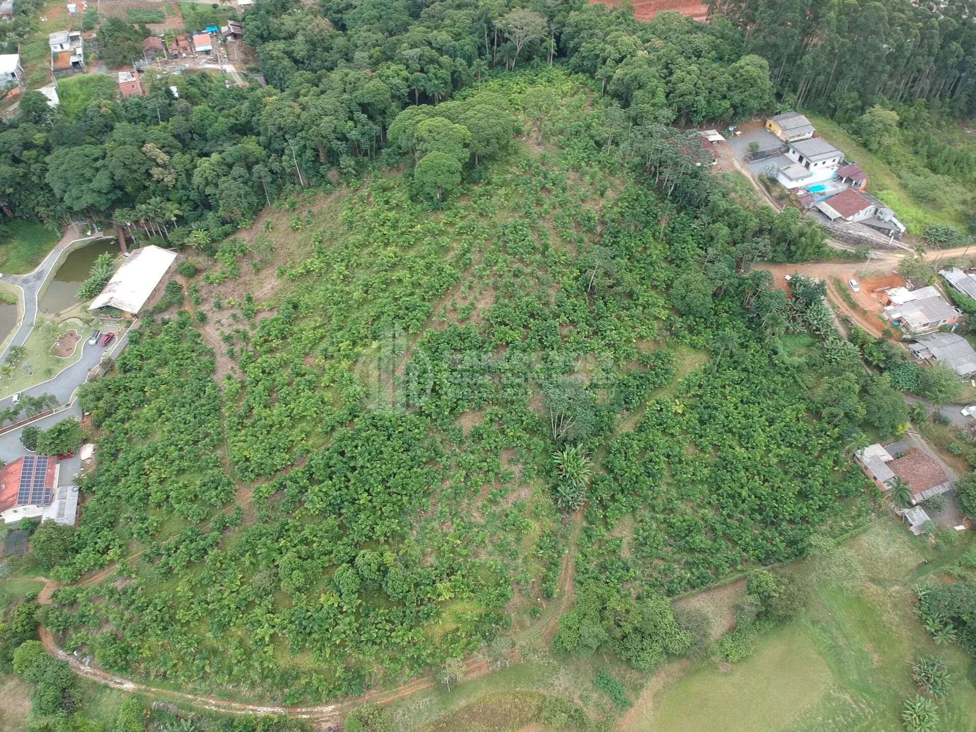Terreno à Venda em Santa Catarina - Oportunidade Única - foto 1