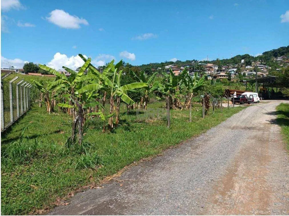 Terreno à venda, 993 m por R$ 750.000,00 - Ponta Aguda - Blumenau/SC - foto 1