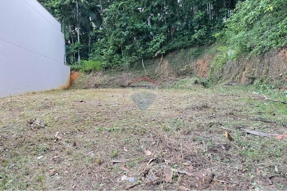 Terreno Pronto para Construir no Passo Manso - Blumenau/SC — foto 2