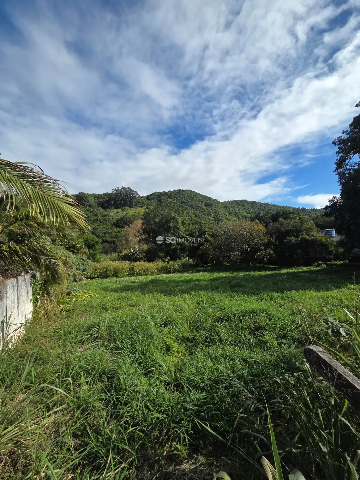 Imóvel - foto 1