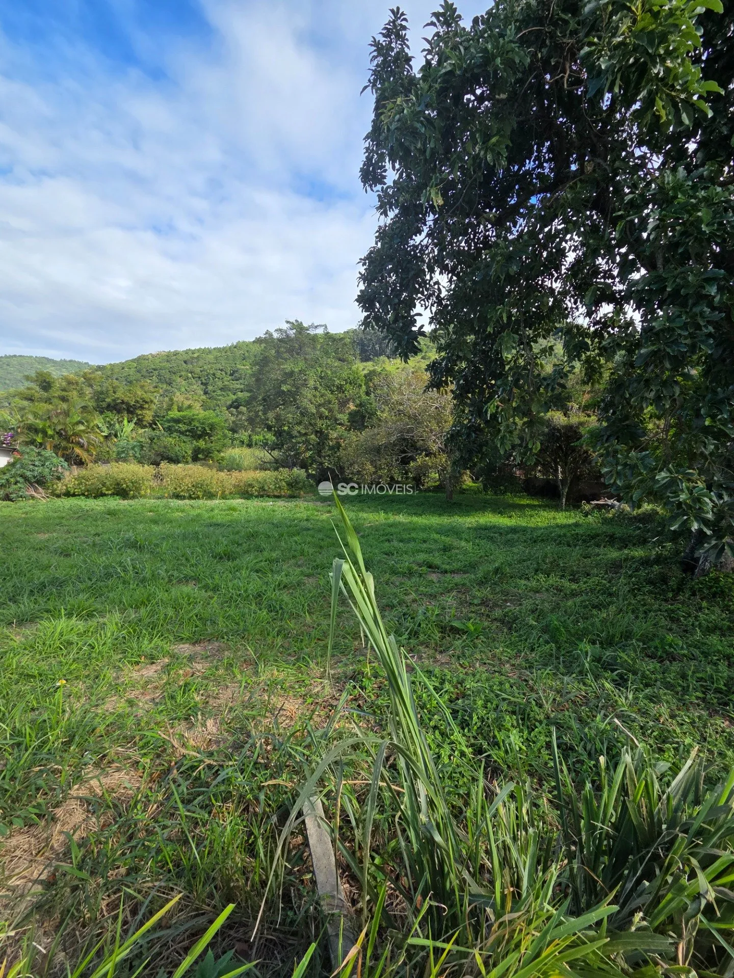 Imóvel — foto 3