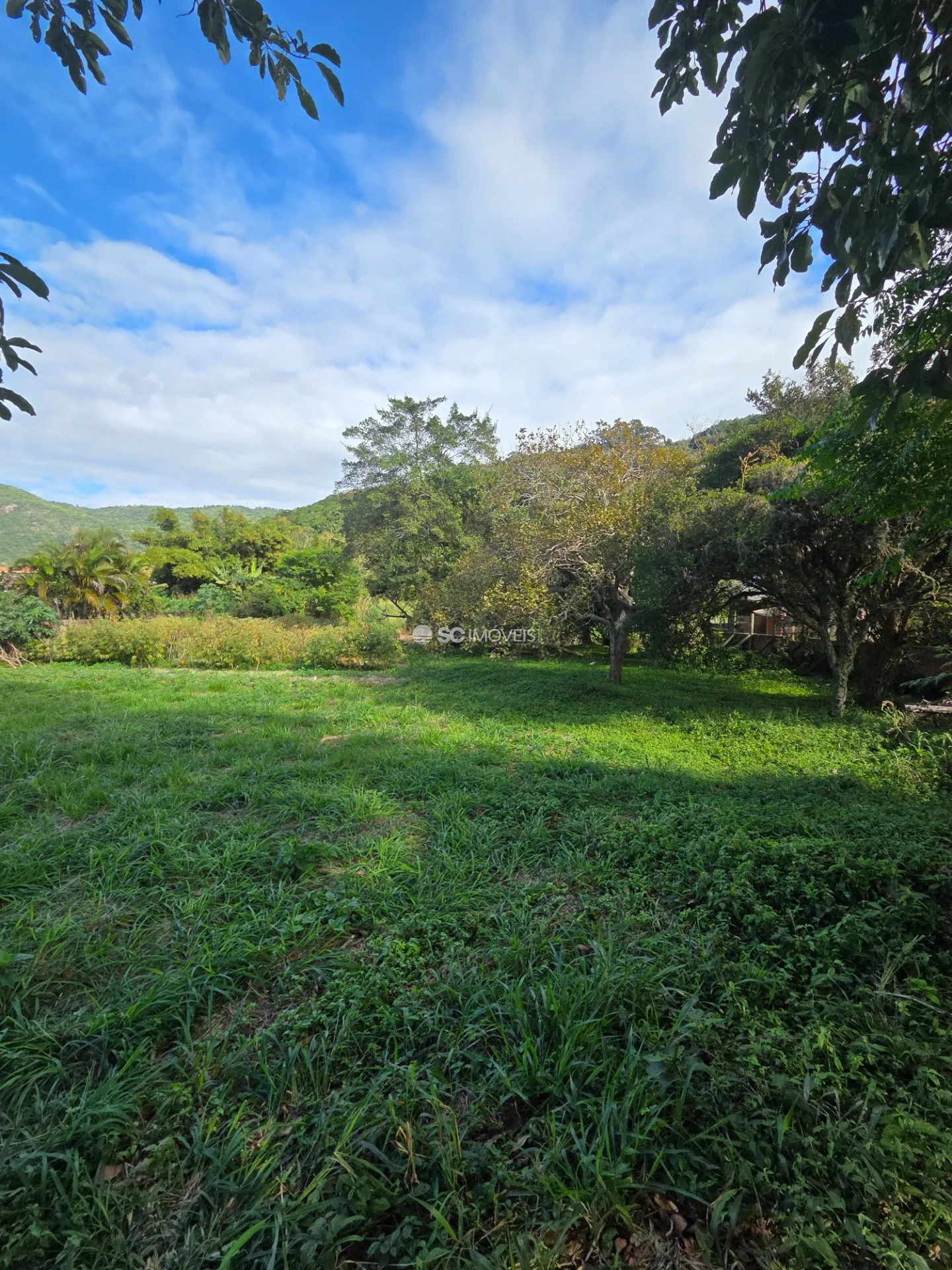Imóvel — foto 4
