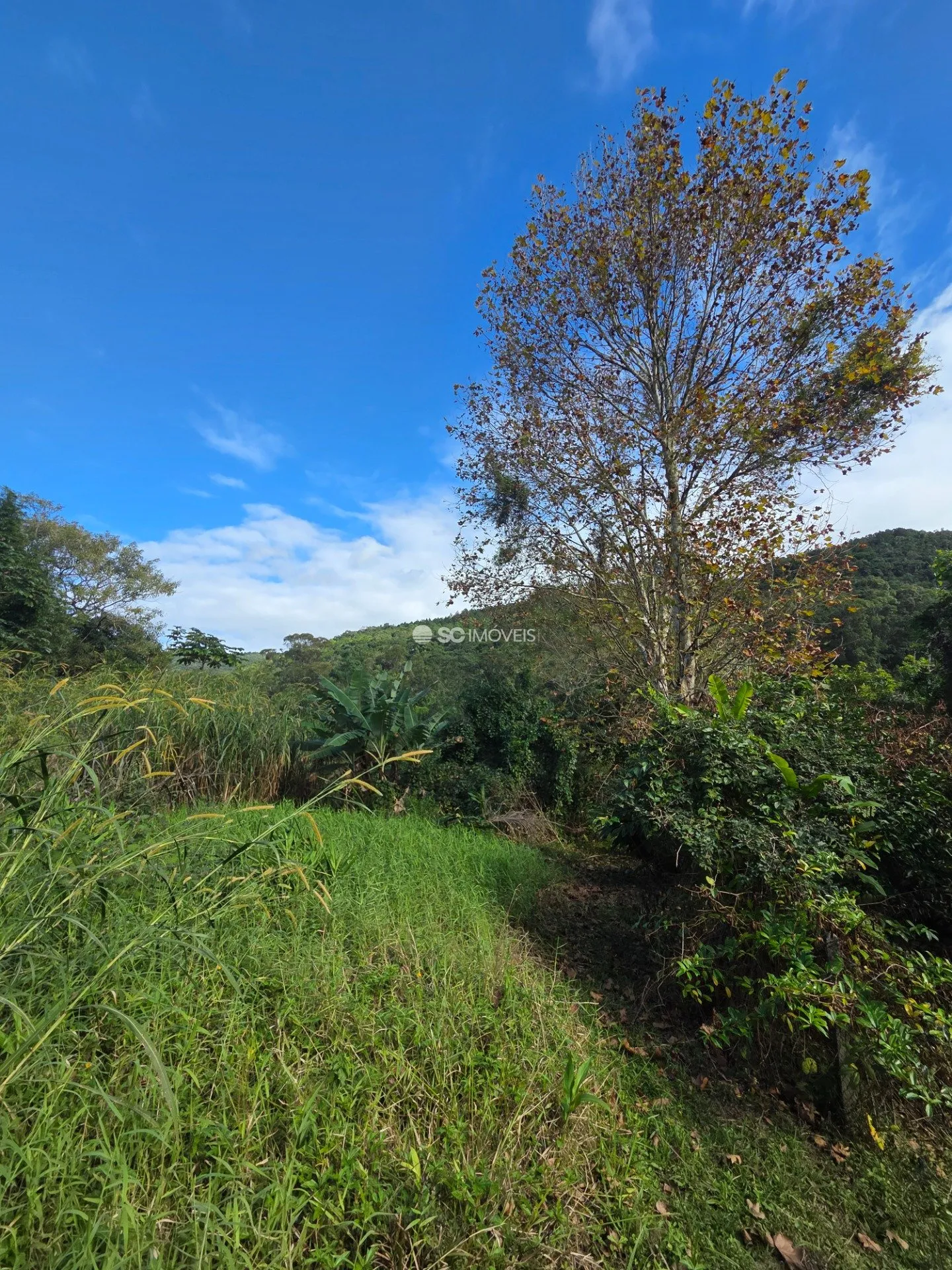 Imóvel — foto 5