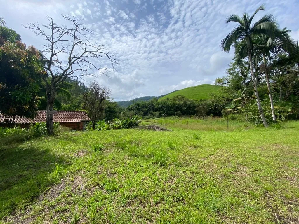 Sítio - 128.441,29m -Estrada Geral Gaspar Grande — foto 3