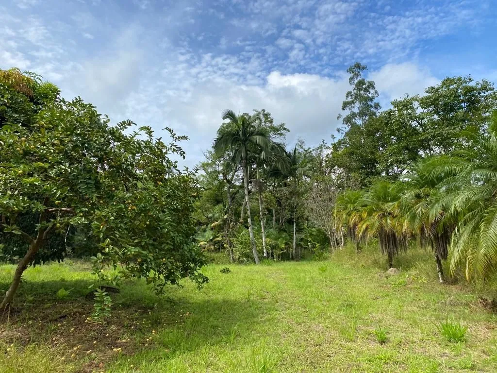 Sítio - 128.441,29m -Estrada Geral Gaspar Grande — foto 4
