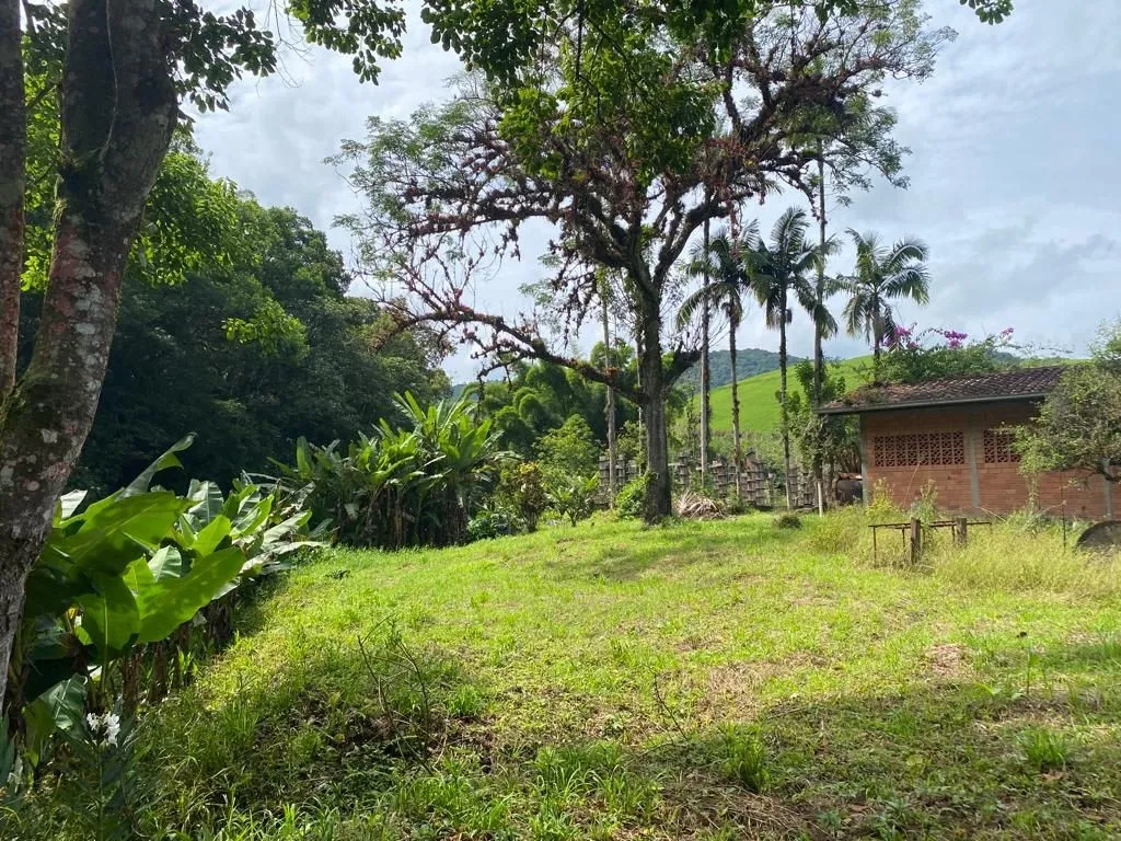 Sítio - 128.441,29m -Estrada Geral Gaspar Grande — foto 5