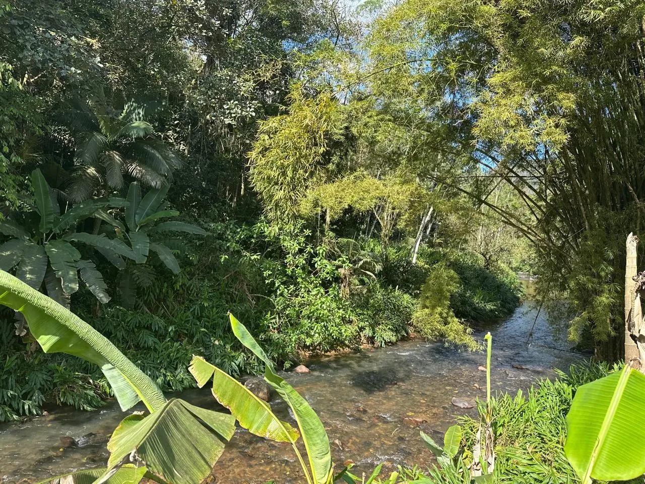 Sítio - 128.441,29m -Estrada Geral Gaspar Grande - foto 1