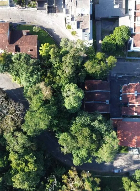 Terreno amplo e bem localizado no bairro da Velha com 543m - foto 1