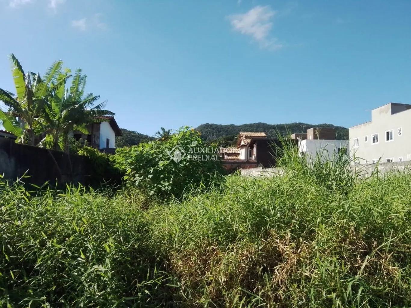 Imóvel — foto 5