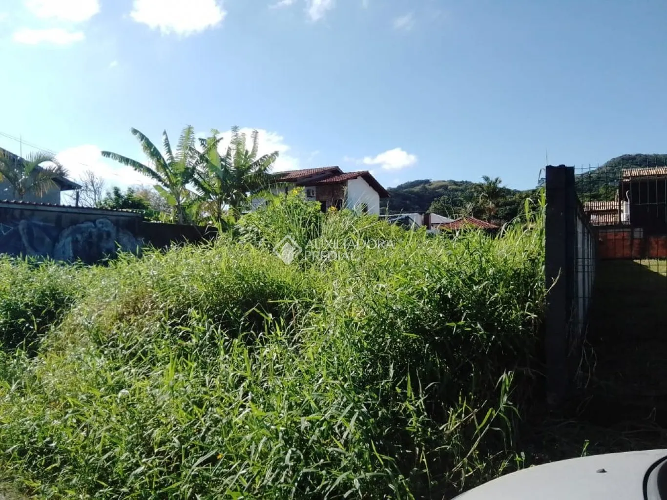 Imóvel — foto 6